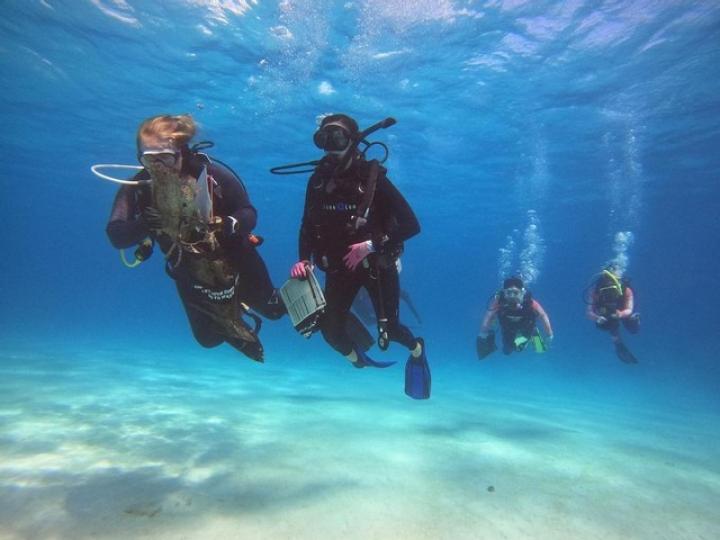 hayley Jo Carr underwater clean up survey