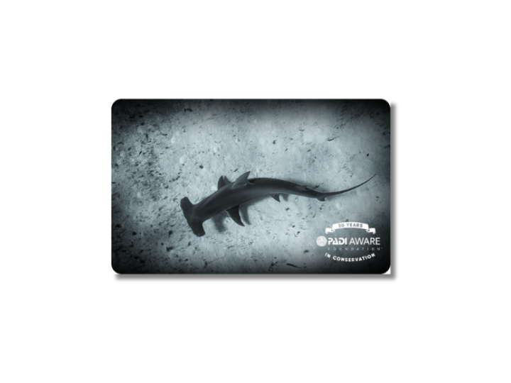 Hammerhead shark aware design card for 2023