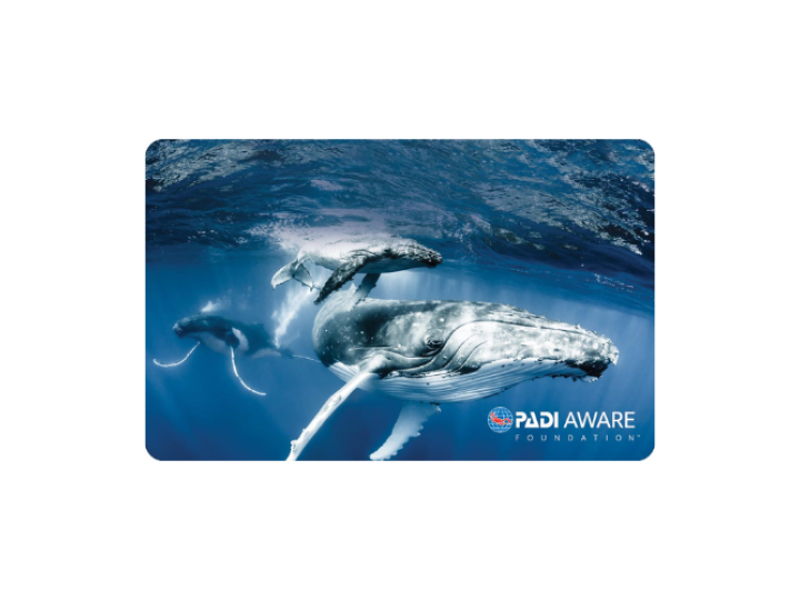 Flight of the Humpback Whales aware design card for 2022