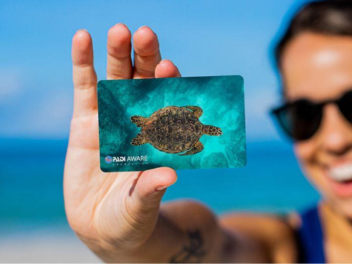 2024 aware design card, turtle design