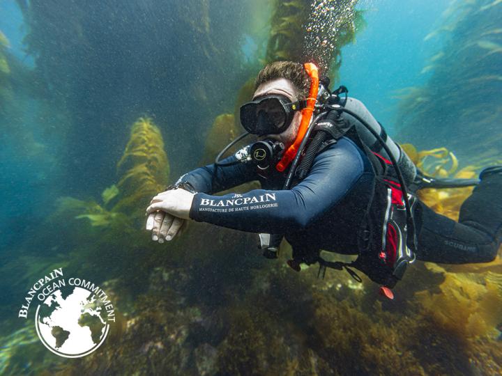 A diver swimming with a Blancpain-sponsored suit.