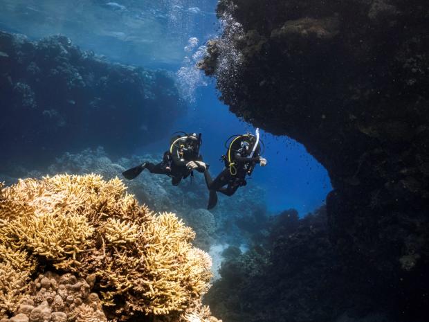 two divers in the ocean above some corals