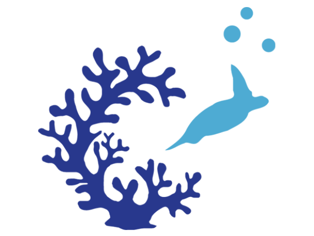 accelarate coral reef recoveru