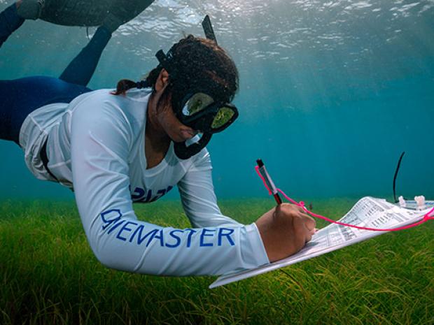 Get involved with PADI's blueprint