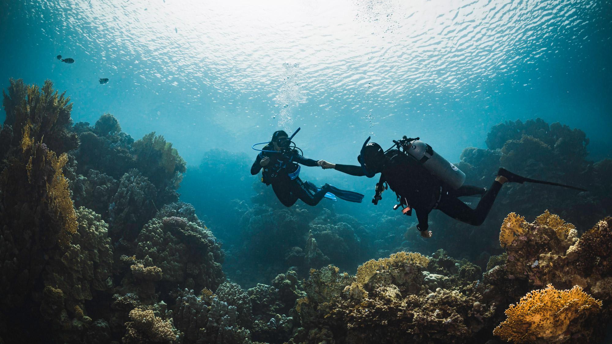 Two scuba divers holding hands underwater